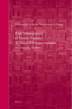 risk management in islamic finance